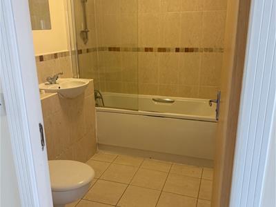 Picture 7